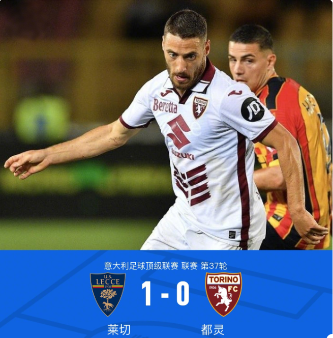 以专业的指 以专业的指